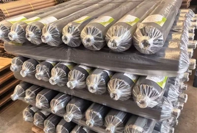 Biodegradable Mulch Film Para sa Paglilinang ng Cannabis: 700-Roll Export Cas...